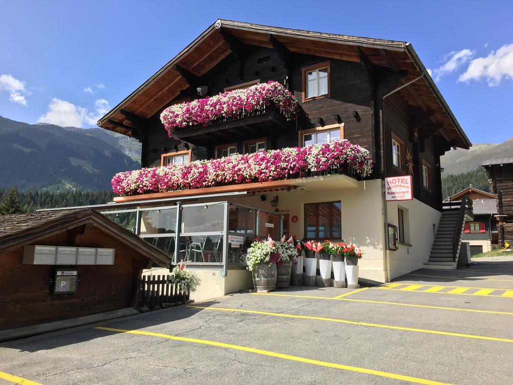 Hotel Haus Muehlebach Ernen Exterior photo
